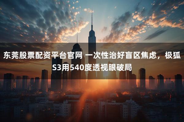 东莞股票配资平台官网 一次性治好盲区焦虑，极狐S3用540度透视眼破局