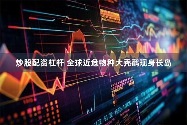 炒股配资杠杆 全球近危物种大秃鹳现身长岛