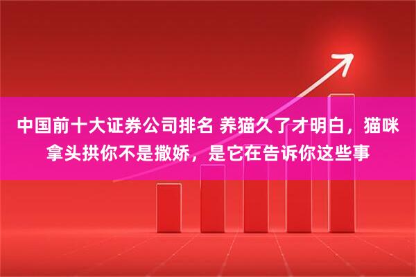 中国前十大证券公司排名 养猫久了才明白，猫咪拿头拱你不是撒娇，是它在告诉你这些事